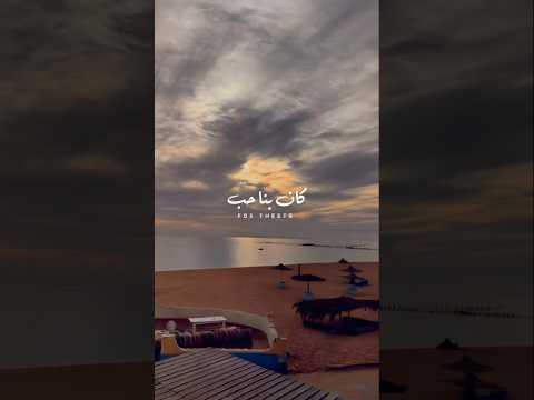 كان بينا حب و عشرة و انت مصونتهاش حاتم الشرقاوي اكسبلور جديد