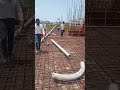 #shortsfeed #concrete of slab #construction