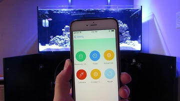 Coral Box Wifi Doser App function and Air in  dosing lines