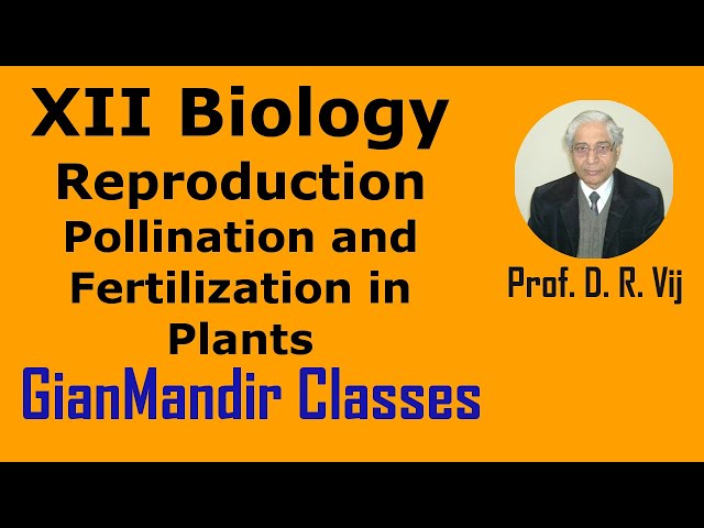 XII Biology | Pollination and Fertilization in Plants by Inderpal Sir