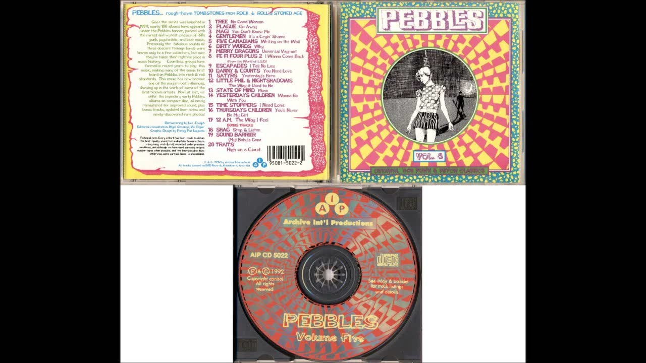 Pebbles Volume 5: Various Morons