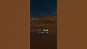 أَزِفَتِ الْآزِفَةُ سورة النجم الآية 57 #ادريس_ابكر #قورئانی_پیرۆز