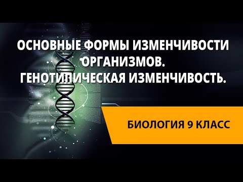 Основные формы изменчивости организмов. Генотипическая изменчивость