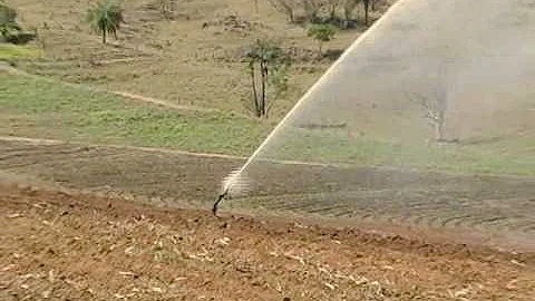 O que se faz com o vinhoto?