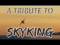 Tribute to SkyKing