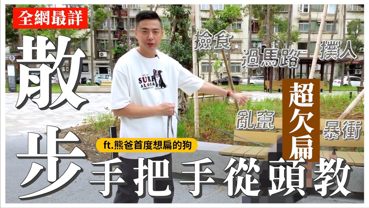 散步教學！狗狗暴衝、撲人、撿食、亂竄、過馬路，通通有！｜熊爸估狗