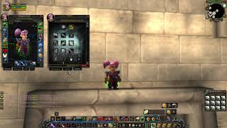 [TBC] Lvl 29 Twink Rogue BiS Gear