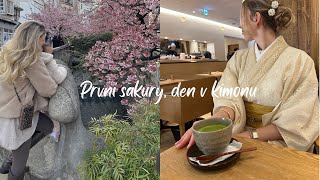 VLOG | první sakury, den v kimonu, mini haul oblečení, oznámení výherců soutěže 🫶🏼