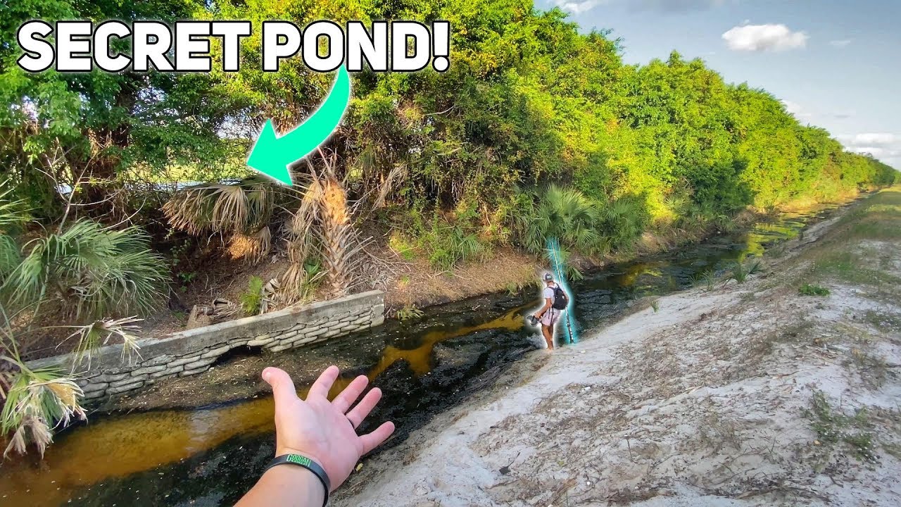 EXPLORING Floridas BEST Bass Fishing Spots (Secret)! - YouTube