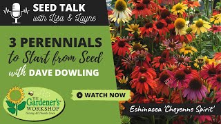 Seed Talk #33  3 Perennials to Start from Seed with Dave Dowling