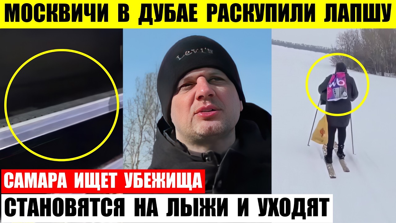 Москвичи в Дубае раскупили всю лапшу. В Туле становятся на лыжи и уходят. Самара ищет убежища.