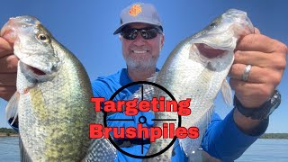 видео: Почему поздняя осень приносит огромные уловы краппи картинка: Почему поздняя осень приносит огромные уловы краппи