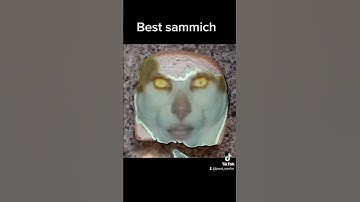 Monday left me broken cat