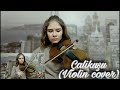 Королёк птичка певчая - violin cover / на скрипці/ Çalikuşu / Анастасія Косточко