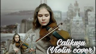 Королёк птичка певчая - violin cover / на скрипці/ Çalikuşu / Анастасія Косточко