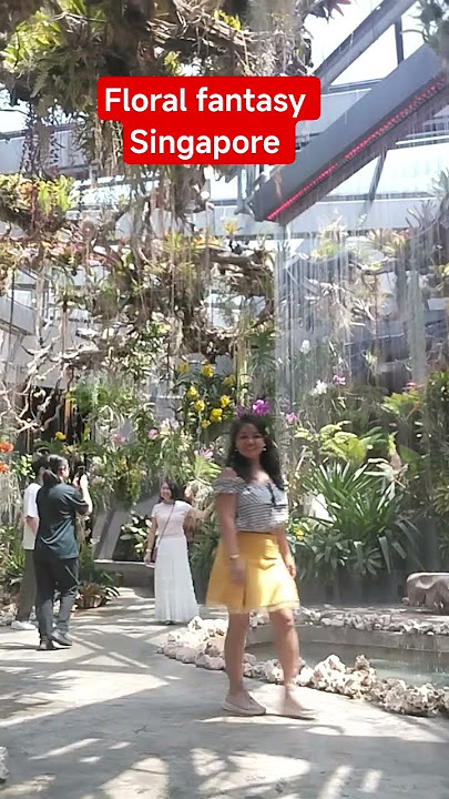 floral fantasy Singapore #pinaysgchannels #floralFantasy#buhayofwsg #vlogervideo #vlogger #vlog