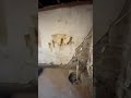 Wall Demolition | Agile Construction