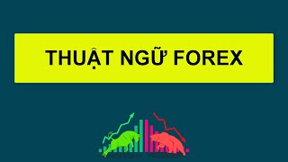 Forex | MỘT SỐ THUẬT NGỮ FOREX