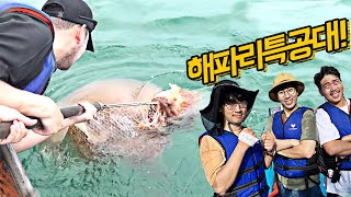 배타고 대왕해파리 퇴치하기! (ft.정브르, 헌터퐝)