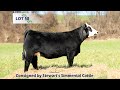 Lot #58 SSC Sweet`N Me Up 217F