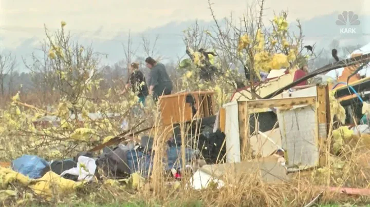 Dogs missing in AR tornado come home