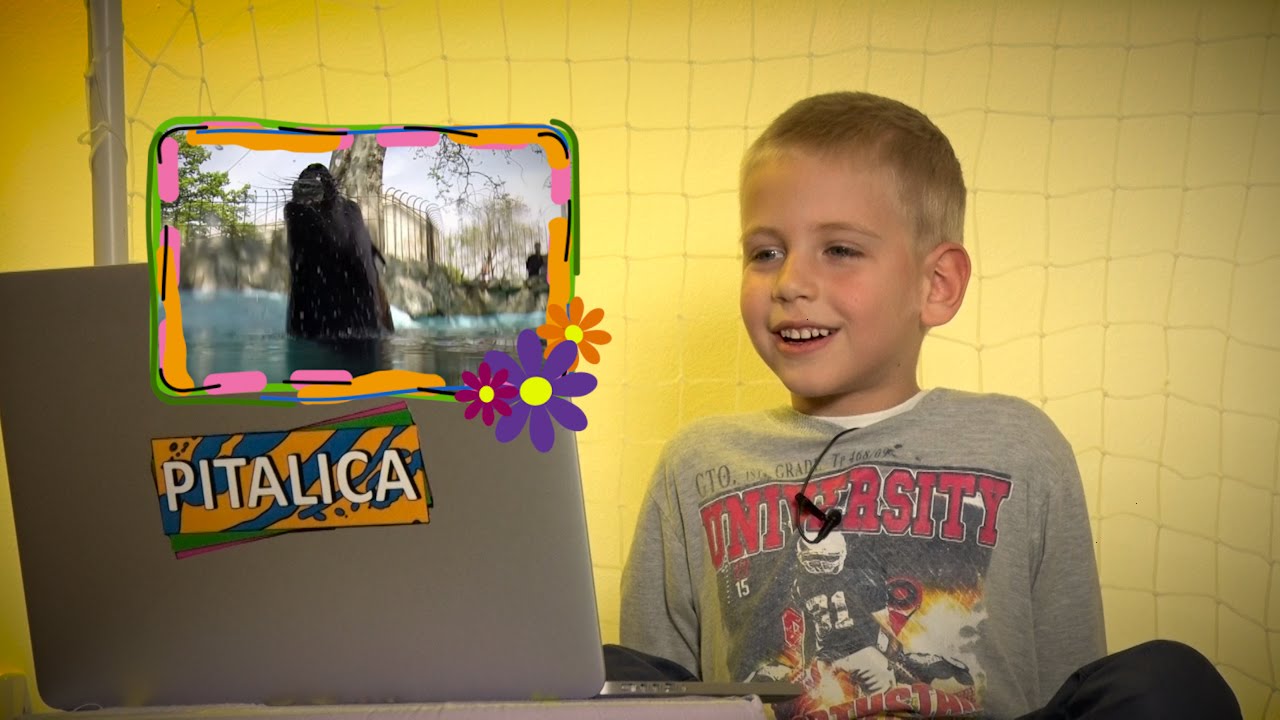 PITALICA ĆE VAM ULEPŠATI DAN Ovako deca opisuju životinje