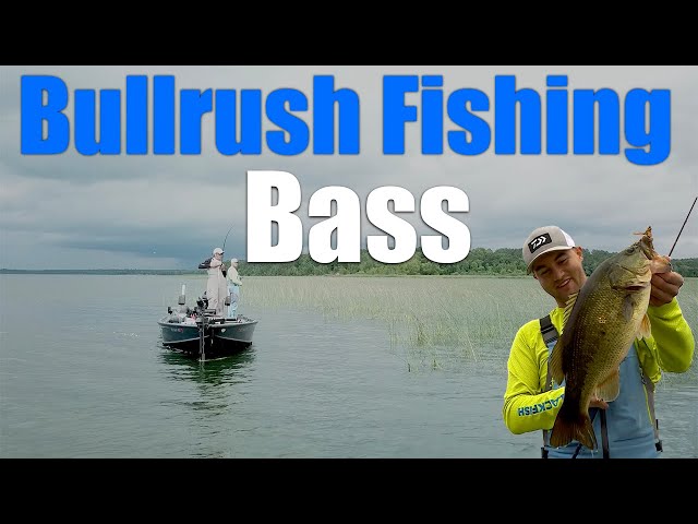 Bullrush Fishing Bass 