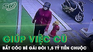 Giúp Việc Cũ Bắt Cóc Rồi Sát Hại Con Gái Chủ Nhà, Nghi Do Đòi 1,5 Tỷ Bất Thành | SKĐS