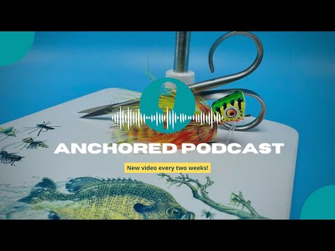 Anchored Podcast Ep. 264: Allen Rupp on Being Mentored by Dave Whitlock