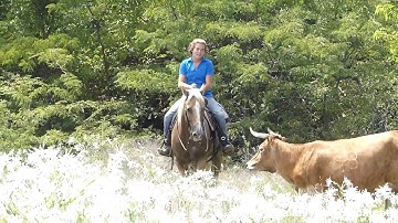 Docs Yellow Duster - trail riding! - ValleyViewRanch.net