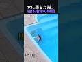 水に落ちた猫、絶体絶命の瞬間
