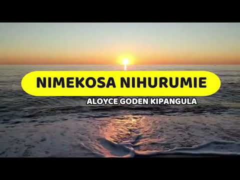Nimekosa Nihurumie Aloyce Goden Lyrics Video