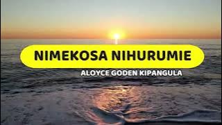 Nimekosa Nihurumie | Aloyce Goden | Lyrics video