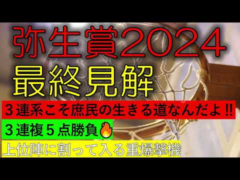 弥生賞2024 最終見解