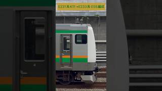 JR東日本 上野東京ライン E231系K-11編成 + E233系3000番台E55編成(海側・鉄道サイドビュー) 【JR EAST 2023.8 / TRAIN SCAN】