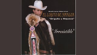 Video thumbnail of "El Lobita de Sinaloa - Volveran"