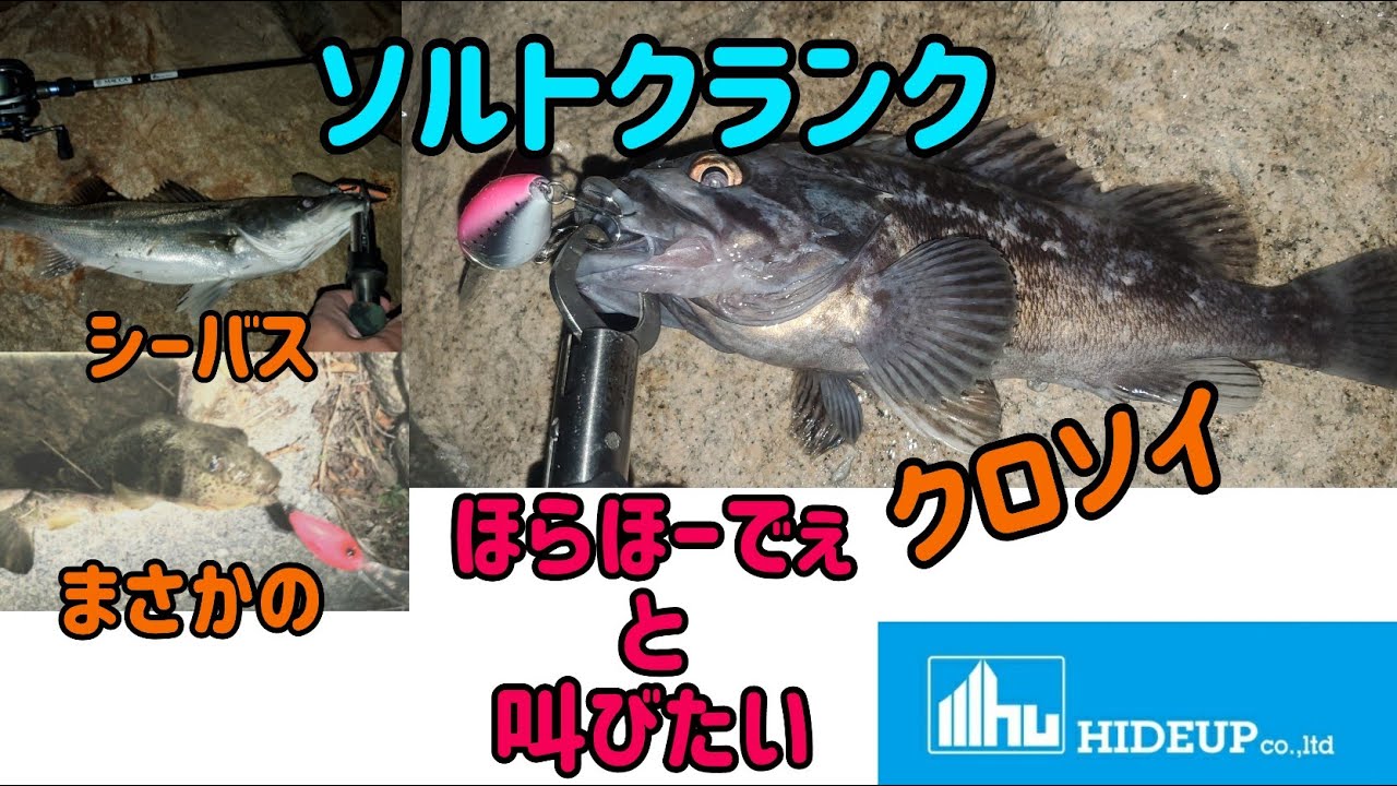 ソルトクランク ロックフィッシュ含む他魚種を狙って行く日 色んな魚が狙えるのも特徴 Youtube ソルトクランク ロックフィッシュ含む他魚種を狙って行く日 色んな魚が狙えるのも特徴 Youtube