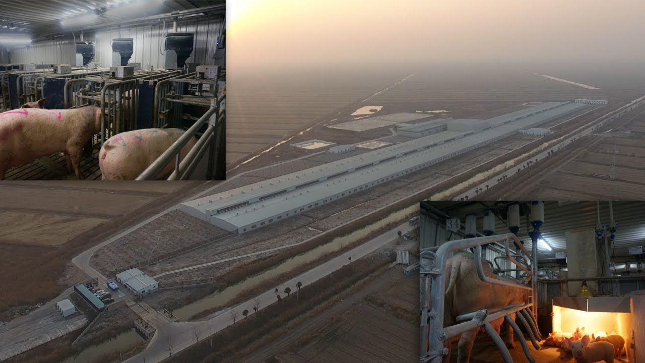 Agrisys project at Scandinavian Farm (English)