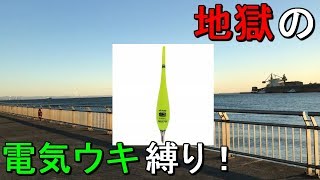 【東扇島西公園】電気ウキで1匹釣れるまで帰れません！【2019.01.09】