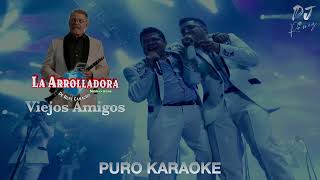 Viejos Amigos-La Arrolladora Banda El Limon-Karaoke🔥🎤