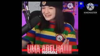 (REQUESTED) Uma Abelha DUOLINGO Sound Variations In 35 Seconds. (FIXED)