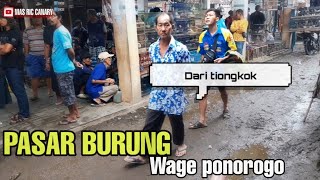 UP DATE PASAR BURUNG TERBARU 4 MARET 2023 pasar wage ponorogo