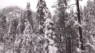 Misty Snowy Oak Creek Canyon Drive 2