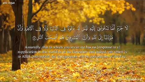 فَسَتَذْكُرُونَ مَا أَقُولُ لَكُمْ ۚ وَأُفَوِّضُ أَمْرِي إِلَى اللَّهِ ۚ -حسن علي-سوره غافر