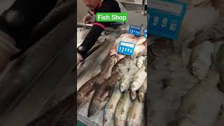 Fish Market Abu dhabi #trending #viral #dubai #youtubeshorts #shorts  @AbuDhabiTV