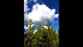 J. Oskar - Clouds above the woods
