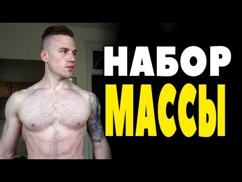 программа питания для эктоморфа программа питания для эктоморфа