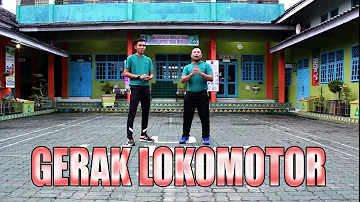 Bagaimana gerakan lokomotor?