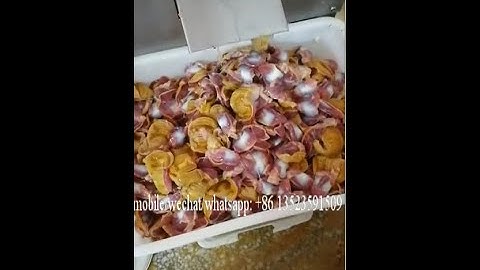 Automatic chicken gizzard removing oil, opening, peeling processing production line