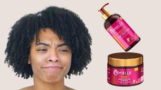 Mielle Pomegranate & Honey Curl Smoothie and Custard | Natural Hair Wash and Go
